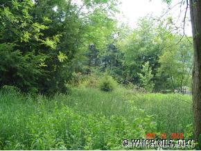 Lot 30 Hazel, Clyde, NC 28721