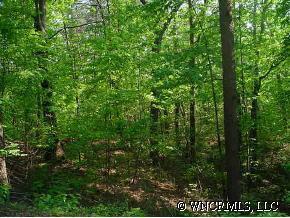 Laurel Lane, Lake Lure, NC 28746