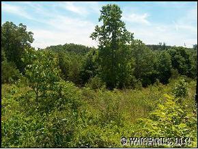 Biddy Ln., Rutherfordton, NC 28139