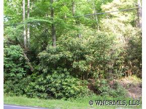 Williamson Creek Rd., Pisgah Forest, NC 28768