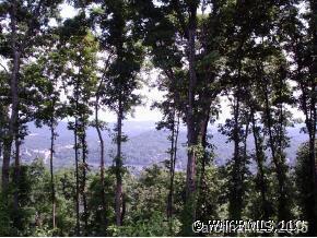 62 Summit Tower Circle, Asheville, NC 28804