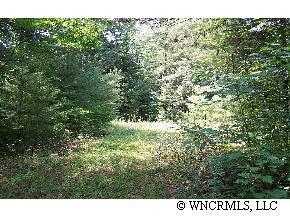 Lot #17 Wellspring Way ##17, Brevard, NC 28712