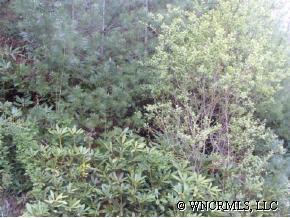 [Address Hidden by Seller], Brevard, NC 28712