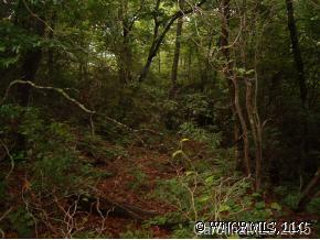 Lot #34 Indian Ridge, Etowah, NC 28739