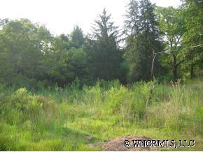 266 Old County Home Road, Asheville, NC 28806