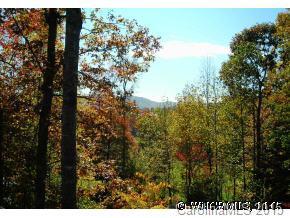 2119 S. Cumming Woods Ct., Hendersonville, NC 28739