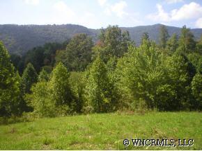 #8 Tam Drive, Waynesville, NC 28786