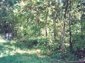 LOT 129 High Bluff Drive, Weaverville, NC 28787