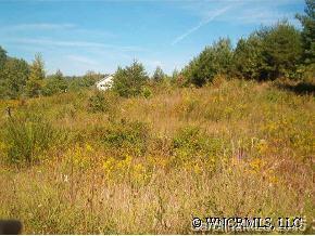 405 Macbeth Street, Weaverville, NC 28787