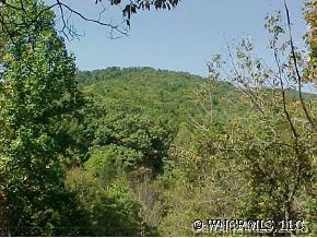 Plum Branch Road, Burnsville, NC 28714