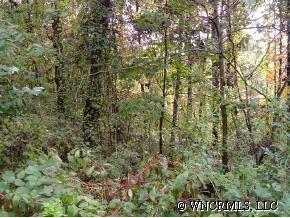 9999 Monte Vista Circle #1, Candler, NC 28715