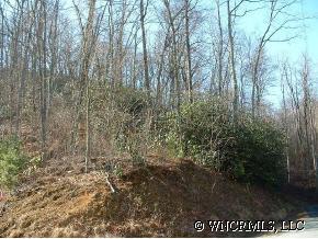 302 Scenic View Knoll, Asheville, NC 28804