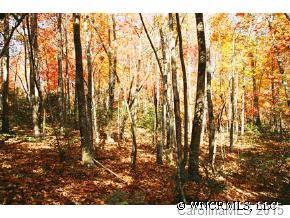 999 Camp Elliott Road, Black Mountain, NC 28711