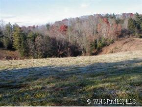 Lot 1 Hidden Meadows Drive, Weaverville, NC 28787