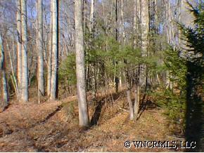 Bearwallow Rd., Hendersonville, NC 28792