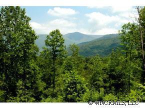 00 Phoenix Cove Rd. #2, Weaverville, NC 28787