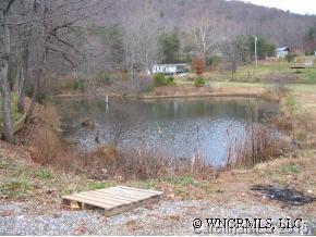 29 Fox Den Rd., Asheville, NC 28805