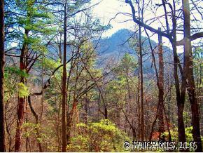 45-55 Seton Rd., Lake Lure, NC 28746