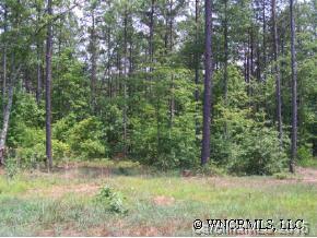 Lot 22 Loblolly Lane, Mill Spring, NC 28756