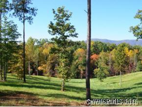 Lot 16 Loblolly Lane, Mill Spring, NC 28756