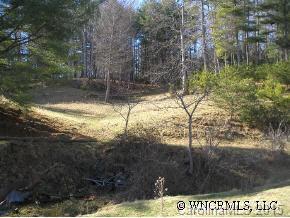 111 Indian Camp Branch Rd., Weaverville, NC 28787