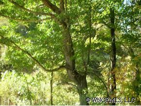 Lot #31 High Peak Lake #321, Etowah, NC 28742