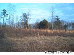 Lot 58 Wildewood #58, Rutherfordton, NC 28139