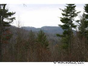 677 Silverstone Drive #20-22, Edneyville, NC 28727