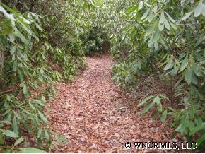 Holland Rd., Pisgah Forest, NC 28768