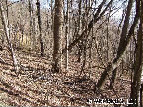 00 Mountainside Drive, Waynesville, NC 28786