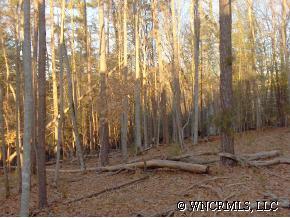 14 Al Faye Farm Way, Weaverville, NC 28787