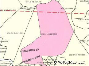 TBA Buckberry Lane, Weaverville, NC 28787