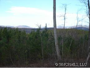 275 Roy Goins Rd, Rutherfordton, NC 28139