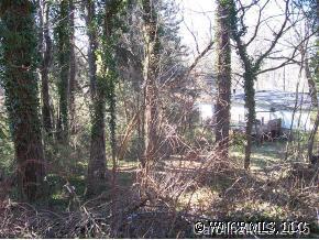 000 Von Ruck Terrace, Asheville, NC 28801