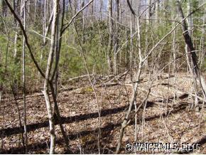 Look Homeward Road, Burnsville, NC 28714