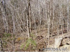 Look Homeward Road, Burnsville, NC 28714
