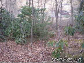 702 Padgettown Rd, Black Mountain, NC 28711