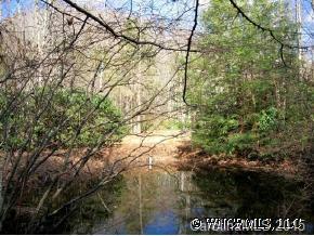 [Address Hidden by Seller], Bat Cave, NC 28710