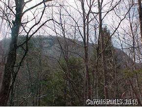 [Address Hidden by Seller], Lake Lure, NC 28746
