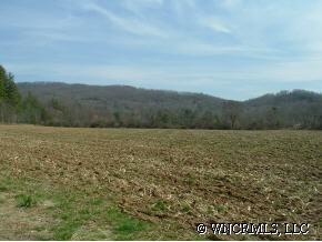 Wilson Rd., Pisgah Forest, NC 28768