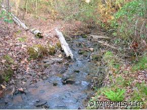 Lot 44 Traveler`s Rest Ln., Rutherfordton, NC 28139