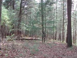 0000 Pisgah View Road, Asheville, NC 28806