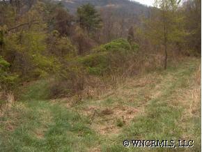 564 Ardella Trail, Canton, NC 28716