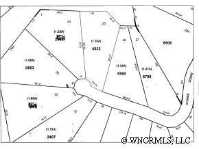 U23 L25 Dvdisdi Ct. #U23L25, Brevard, NC 28712