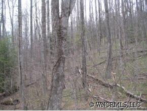 9999 Bearwallow Mountain Road, Hendersonville, NC 28792