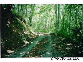 462 Streamside Drive, Brevard, NC 28712