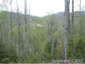 Mastiff Hollow Drive, Waynesville, NC 28785