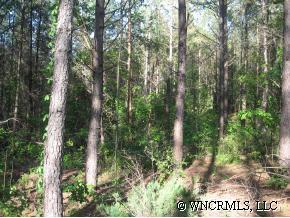 Lot 51 Shady Bark Ln., Lake Lure, NC 28746