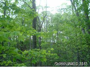 White Horse Road, Brevard, NC 28712
