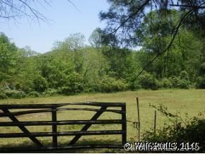 Hwy. 64, Pisgah Forest, NC 28768